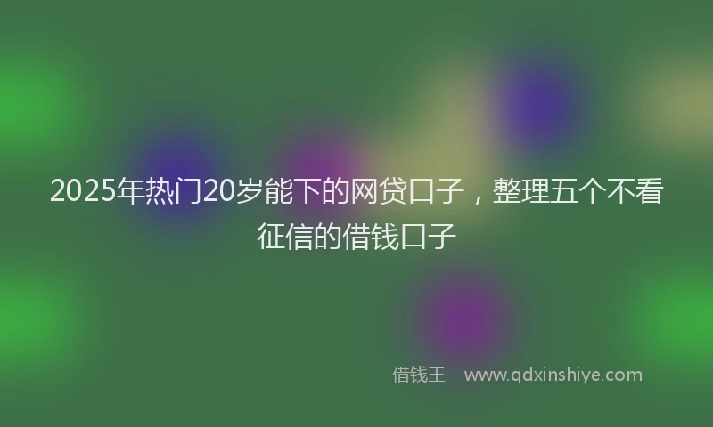 2025年热门20岁能下的网贷口子，整理五个不看征信的借钱口子