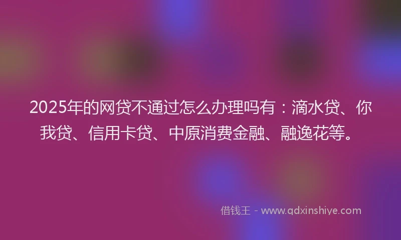 2025年的网贷不通过怎么办理吗有：滴水贷、你我贷、信用卡贷、中原消费金融、融逸花等。