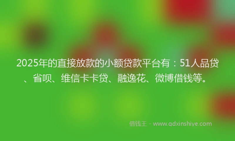 2025年的直接放款的小额贷款平台有：51人品贷、省呗、维信卡卡贷、融逸花、微博借钱等。