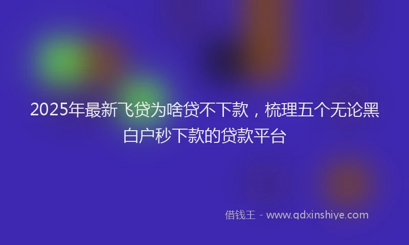 2025年最新飞贷为啥贷不下款，梳理五个无论黑白户秒下款的贷款平台