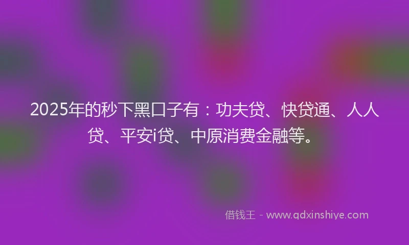 2025年的秒下黑口子有：功夫贷、快贷通、人人贷、平安i贷、中原消费金融等。