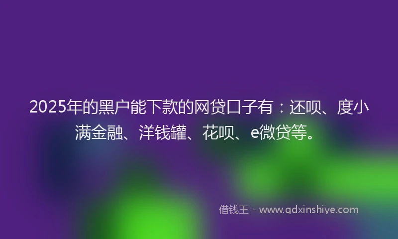 2025年的黑户能下款的网贷口子有：还呗、度小满金融、洋钱罐、花呗、e微贷等。