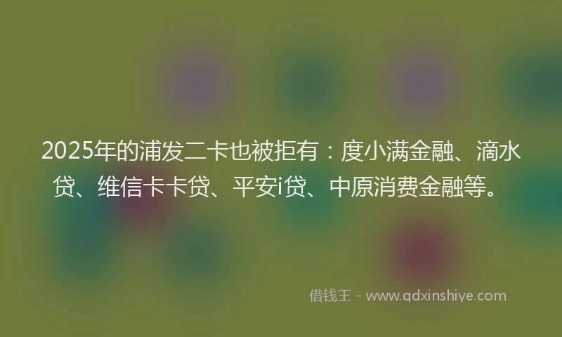 2025年的浦发二卡也被拒有：度小满金融、滴水贷、维信卡卡贷、平安i贷、中原消费金融等。