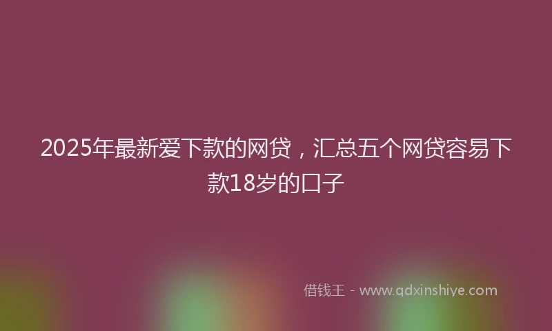 2025年最新爱下款的网贷，汇总五个网贷容易下款18岁的口子