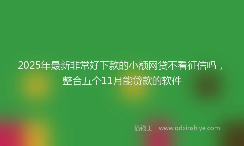 2025年最新非常好下款的小额网贷不看征信吗，整合五个11月能贷款的软件
