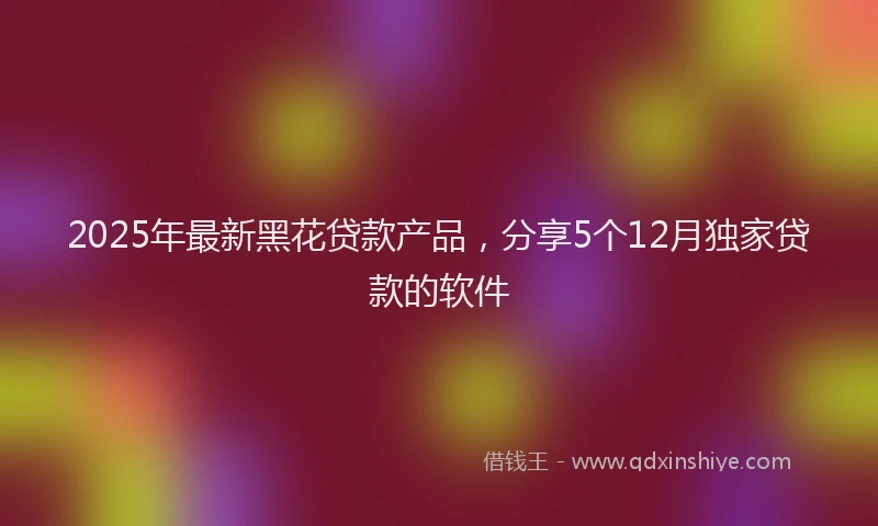 2025年最新黑花贷款产品，分享5个12月独家贷款的软件