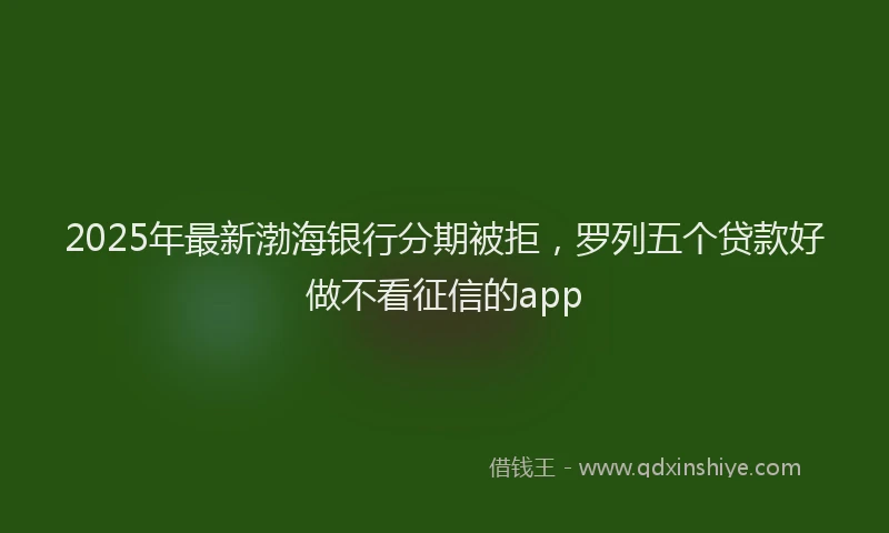 2025年最新渤海银行分期被拒，罗列五个贷款好做不看征信的app