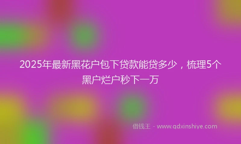 2025年最新黑花户包下贷款能贷多少，梳理5个黑户烂户秒下一万