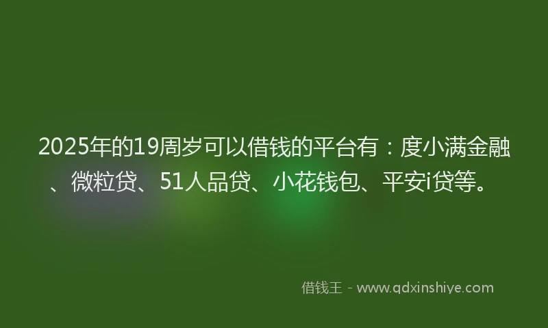 2025年的19周岁可以借钱的平台有：度小满金融、微粒贷、51人品贷、小花钱包、平安i贷等。