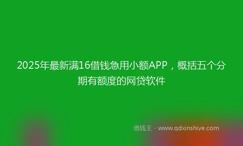 2025年最新满16借钱急用小额APP，概括五个分期有额度的网贷软件