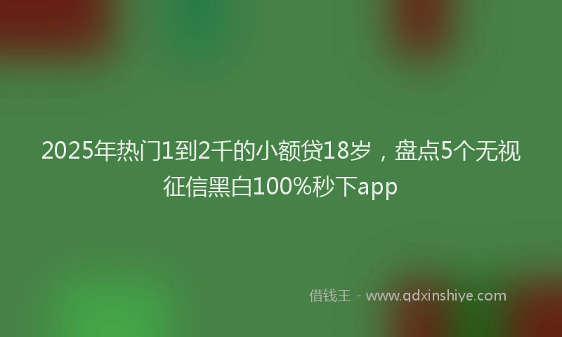 2025年热门1到2千的小额贷18岁，盘点5个无视征信黑白100%秒下app
