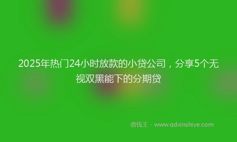 2025年热门24小时放款的小贷公司，分享5个无视双黑能下的分期贷