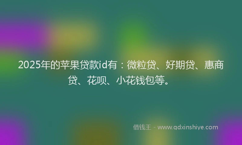 2025年的苹果贷款id有：微粒贷、好期贷、惠商贷、花呗、小花钱包等。