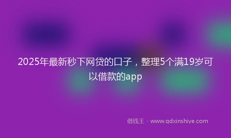 2025年最新秒下网贷的口子，整理5个满19岁可以借款的app