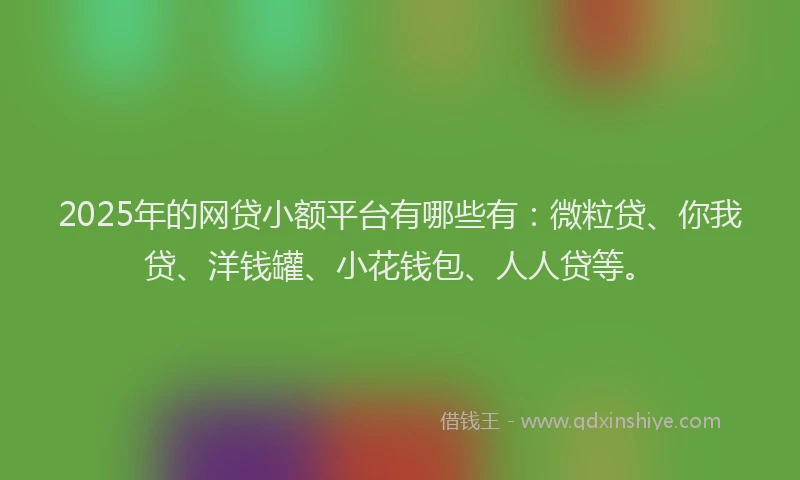 2025年的网贷小额平台有哪些有：微粒贷、你我贷、洋钱罐、小花钱包、人人贷等。