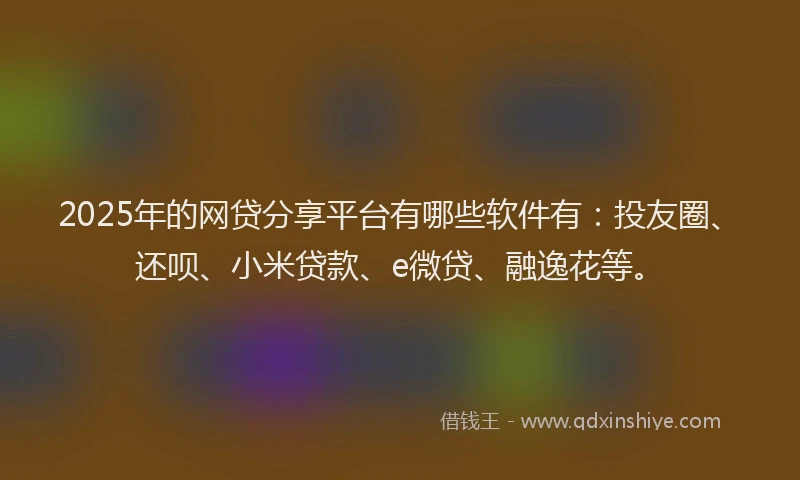 2025年的网贷分享平台有哪些软件有：投友圈、还呗、小米贷款、e微贷、融逸花等。