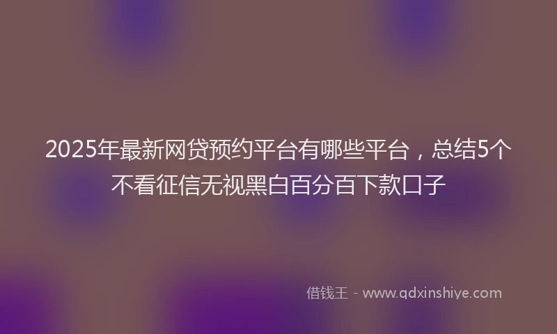2025年最新网贷预约平台有哪些平台，总结5个不看征信无视黑白百分百下款口子