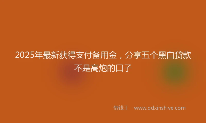 2025年最新获得支付备用金，分享五个黑白贷款不是高炮的口子