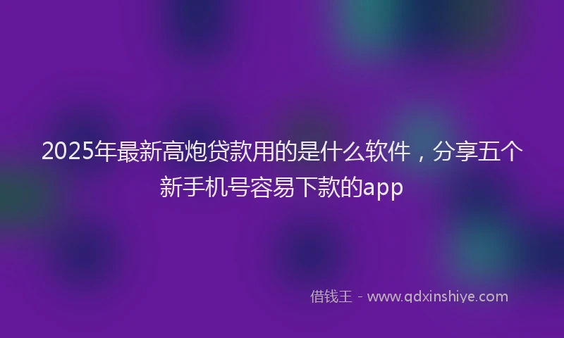 2025年最新高炮贷款用的是什么软件，分享五个新手机号容易下款的app
