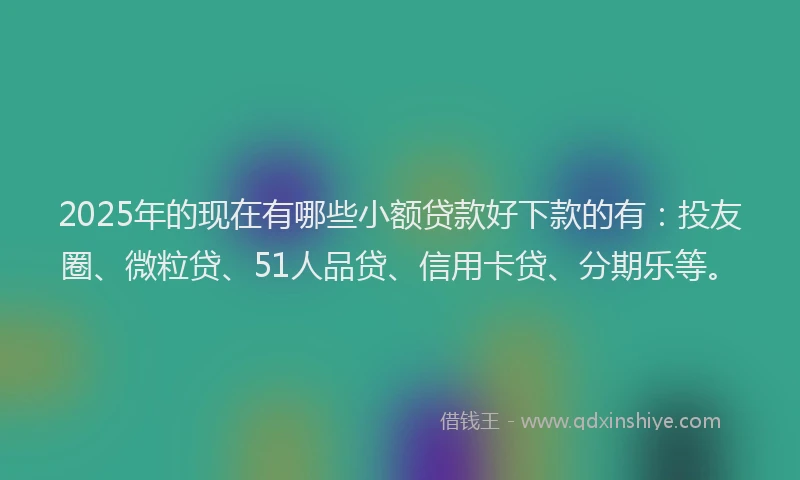 2025年的现在有哪些小额贷款好下款的有：投友圈、微粒贷、51人品贷、信用卡贷、分期乐等。