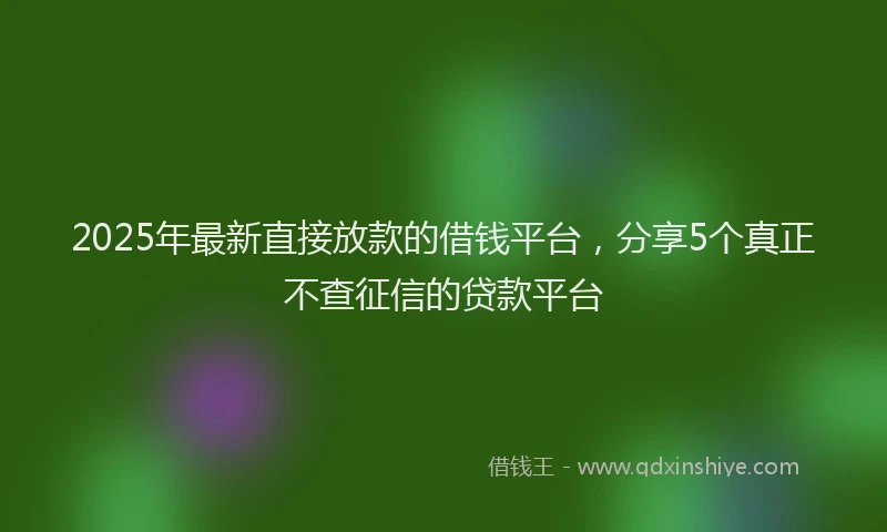 2025年最新直接放款的借钱平台，分享5个真正不查征信的贷款平台