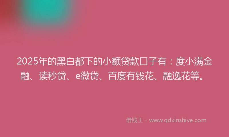 2025年的黑白都下的小额贷款口子有：度小满金融、读秒贷、e微贷、百度有钱花、融逸花等。