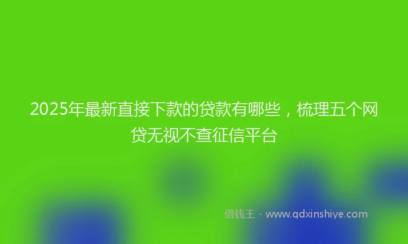 2025年最新直接下款的贷款有哪些，梳理五个网贷无视不查征信平台