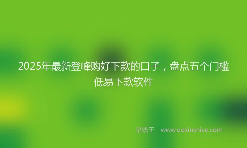 2025年最新登峰购好下款的口子，盘点五个门槛低易下款软件