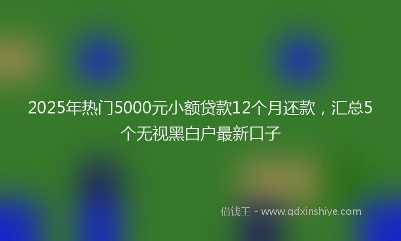 2025年热门5000元小额贷款12个月还款，汇总5个无视黑白户最新口子