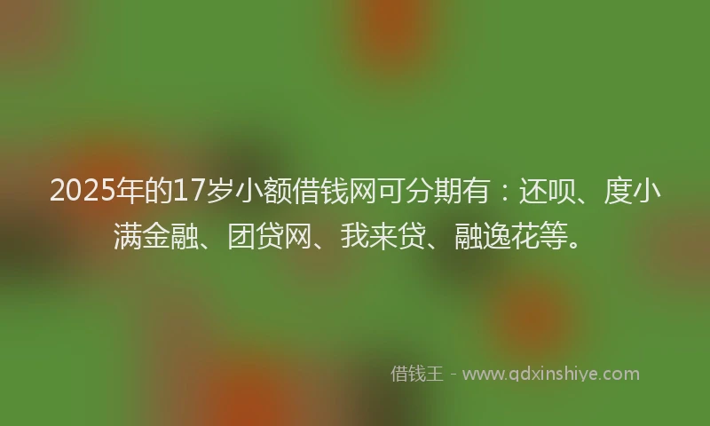 2025年的17岁小额借钱网可分期有：还呗、度小满金融、团贷网、我来贷、融逸花等。
