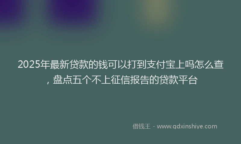 2025年最新贷款的钱可以打到支付宝上吗怎么查，盘点五个不上征信报告的贷款平台