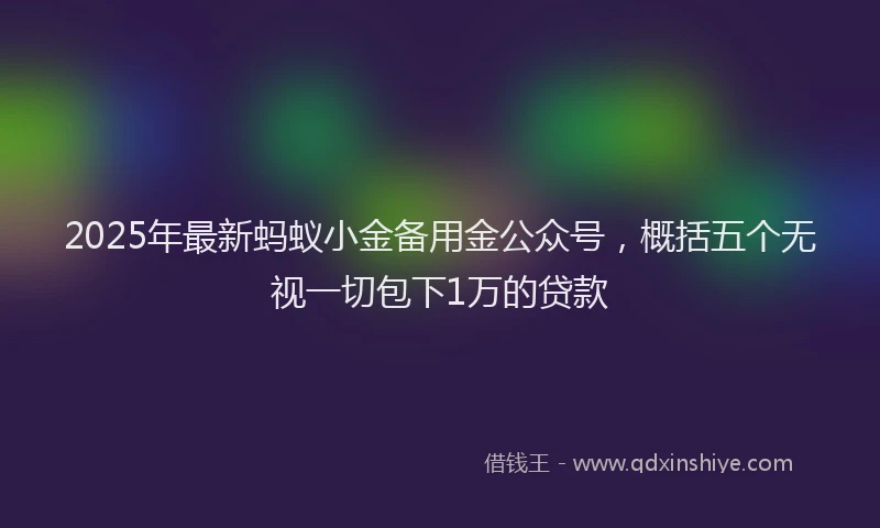 2025年最新蚂蚁小金备用金公众号，概括五个无视一切包下1万的贷款