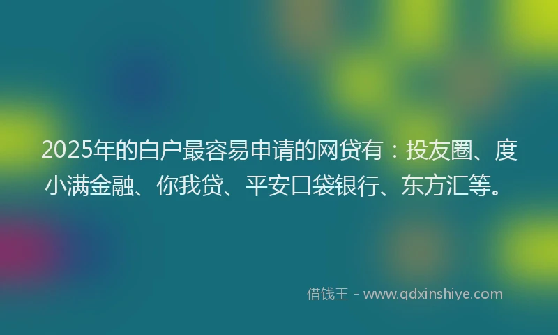 2025年的白户最容易申请的网贷有：投友圈、度小满金融、你我贷、平安口袋银行、东方汇等。