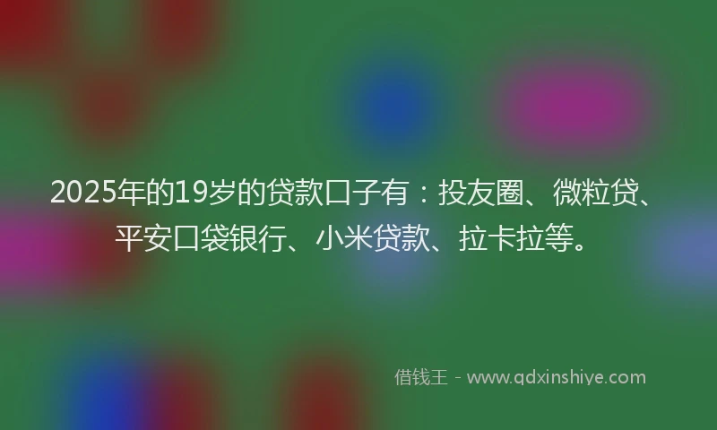 2025年的19岁的贷款口子有：投友圈、微粒贷、平安口袋银行、小米贷款、拉卡拉等。