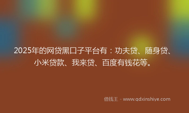 2025年的网贷黑口子平台有：功夫贷、随身贷、小米贷款、我来贷、百度有钱花等。
