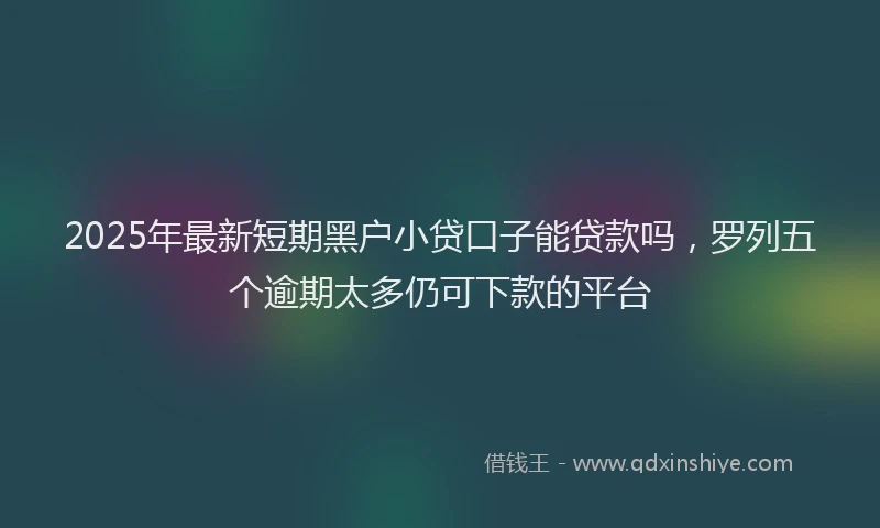 2025年最新短期黑户小贷口子能贷款吗，罗列五个逾期太多仍可下款的平台