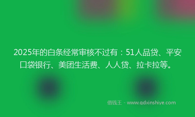 2025年的白条经常审核不过有：51人品贷、平安口袋银行、美团生活费、人人贷、拉卡拉等。