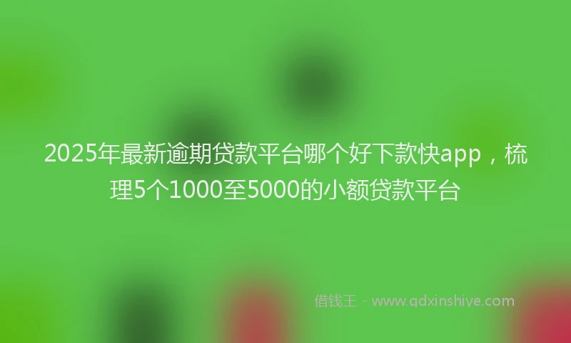 2025年最新逾期贷款平台哪个好下款快app，梳理5个1000至5000的小额贷款平台