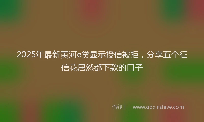 2025年最新黄河e贷显示授信被拒，分享五个征信花居然都下款的口子