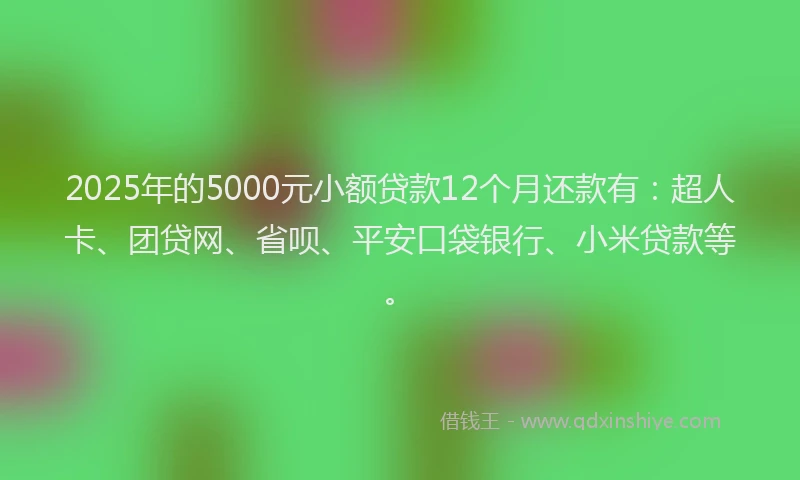 2025年的5000元小额贷款12个月还款有：超人卡、团贷网、省呗、平安口袋银行、小米贷款等。