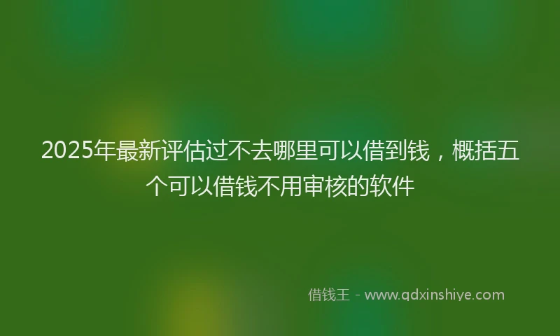 2025年最新评估过不去哪里可以借到钱，概括五个可以借钱不用审核的软件