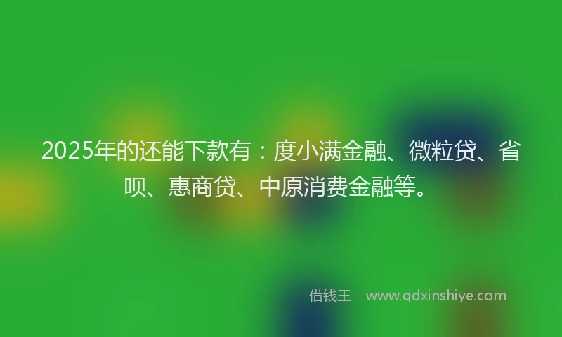 2025年的还能下款有：度小满金融、微粒贷、省呗、惠商贷、中原消费金融等。