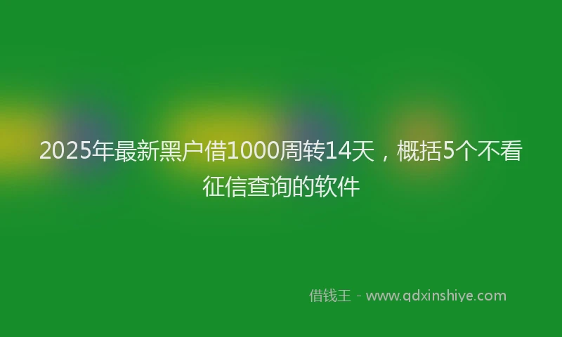 2025年最新黑户借1000周转14天，概括5个不看征信查询的软件