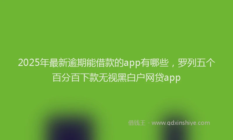 2025年最新逾期能借款的app有哪些，罗列五个百分百下款无视黑白户网贷app