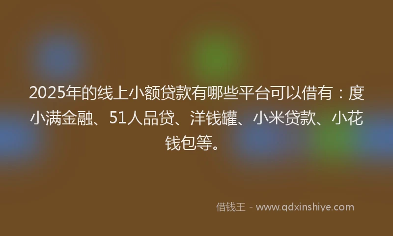 2025年的线上小额贷款有哪些平台可以借有：度小满金融、51人品贷、洋钱罐、小米贷款、小花钱包等。