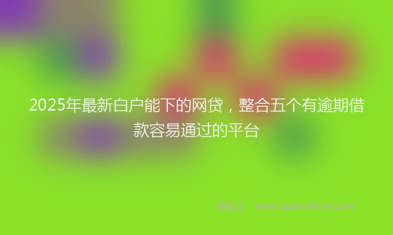 2025年最新白户能下的网贷，整合五个有逾期借款容易通过的平台