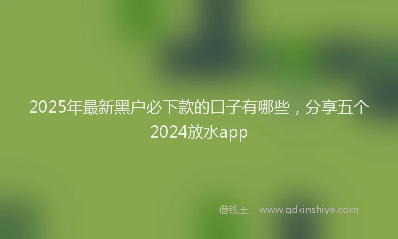 2025年最新黑户必下款的口子有哪些，分享五个2024放水app