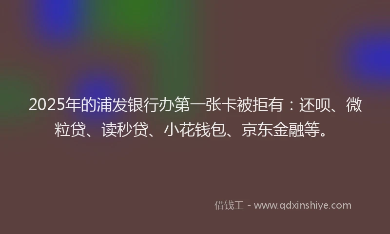 2025年的浦发银行办第一张卡被拒有：还呗、微粒贷、读秒贷、小花钱包、京东金融等。