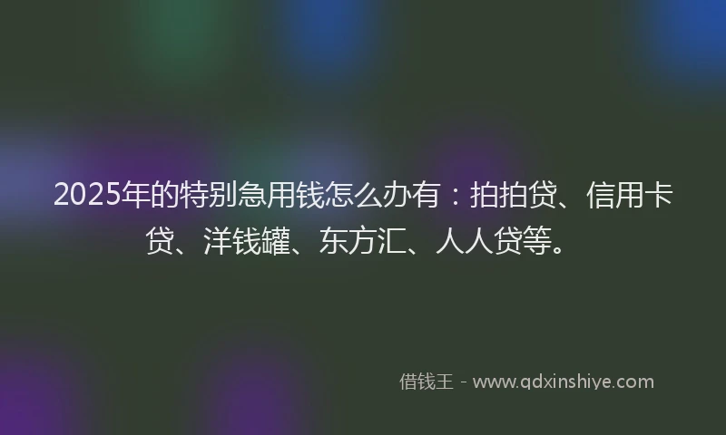 2025年的特别急用钱怎么办有：拍拍贷、信用卡贷、洋钱罐、东方汇、人人贷等。