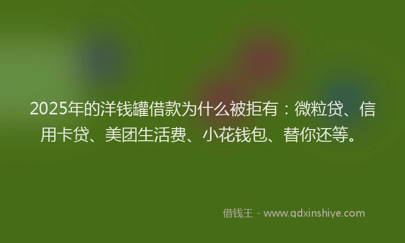 2025年的洋钱罐借款为什么被拒有：微粒贷、信用卡贷、美团生活费、小花钱包、替你还等。